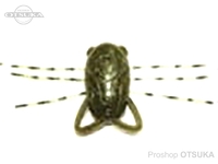  レイン チビセクター 