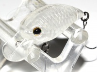  ティモン パニクラ 