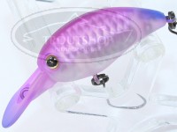  ティモン パニクラ 