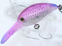  ティモン パニクラ 