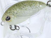  ティモン チビパニクラ 