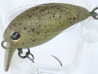  ティモン チビパニクラ 