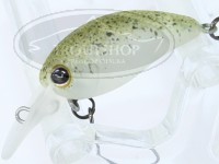 ティモン チビパニクラ 