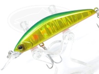  ティモン トリコロールGT 