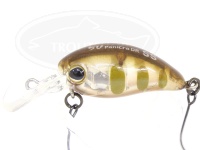  ティモン チビパニクラ 