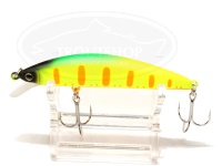  ティモン トリコロール 