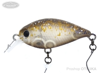  オフィスユーカリ クラピー 