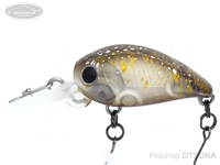  オフィスユーカリ クラピー 