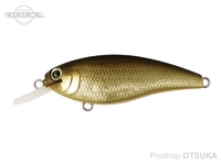  ボトムアップ リズィー 