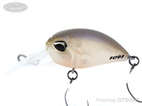  ヴァルケイン ヘイズ 