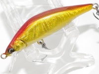  レイチューン インジェクション 