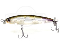  ノリーズ ビハドウ 