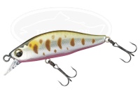  ダイワ シルバークリーク 