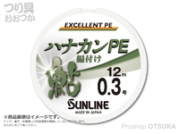  サンライン ハナカンPE網付け鮎 