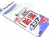  ハヤブサ 港めぐり  新潟エリア 