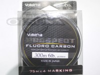  バレーヒル プロスペクト 