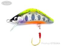  ぷらぐ屋工房 水無月の渓遊び 