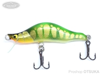  ベアーズバレー ベアーズミノー 