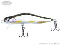  ぷらぐ屋工房 公魚 鼎 