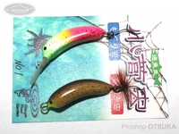  遊魚民 小菅シリーズ 