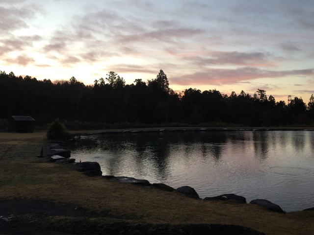 プロショップオオツカ・トラウト部門 ネット通信販売 ブログ写真 2020/01/08