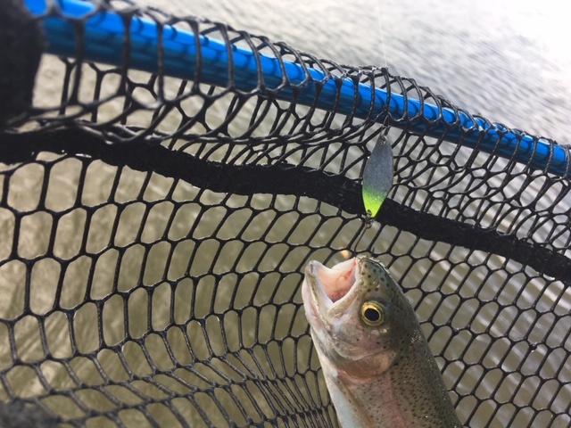 プロショップオオツカ・トラウト部門 ネット通信販売 ブログ写真 2020/05/24