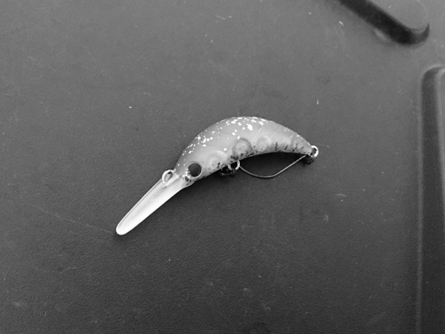 プロショップオオツカ・トラウト部門 ネット通信販売 ブログ写真 2020/07/08