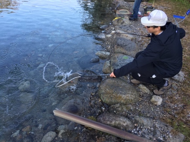 プロショップオオツカ・トラウト部門 ネット通信販売 ブログ写真 2020/11/05