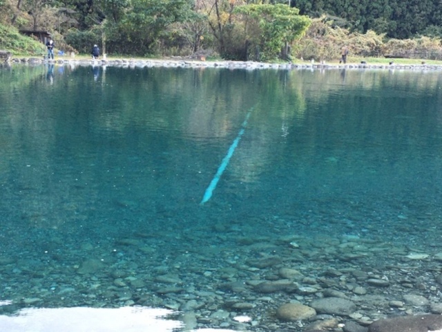 プロショップオオツカ・トラウト部門 ネット通信販売 ブログ写真 2020/11/05