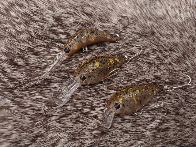 プロショップオオツカ・トラウト部門 ネット通信販売 ブログ写真 2020/11/27