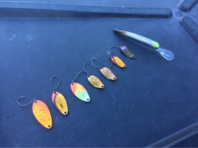 プロショップオオツカ・トラウト部門 ネット通信販売 ブログ写真 2022/03/13