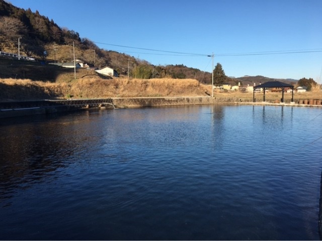 プロショップオオツカ・トラウト部門 ネット通信販売 ブログ写真 2022/03/13